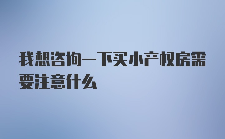 我想咨询一下买小产权房需要注意什么