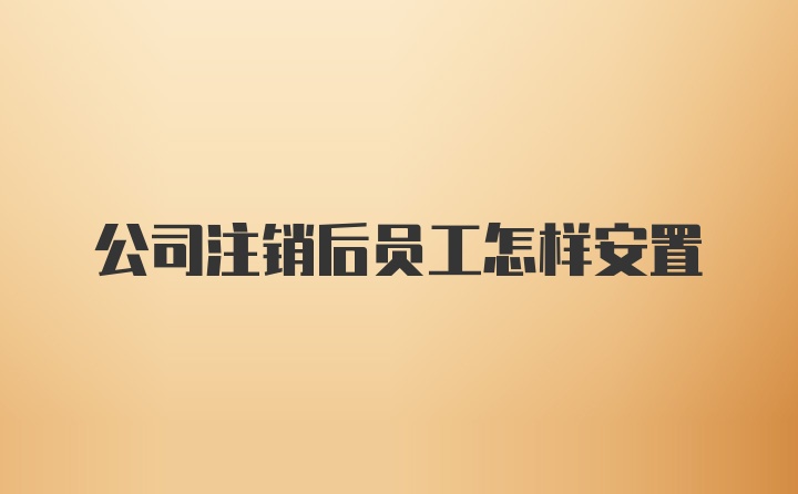 公司注销后员工怎样安置