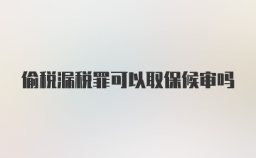 偷税漏税罪可以取保候审吗