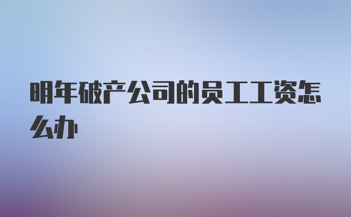 明年破产公司的员工工资怎么办