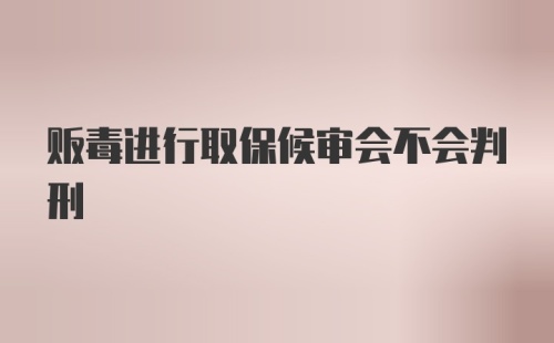 贩毒进行取保候审会不会判刑