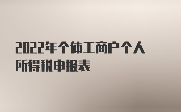 2022年个体工商户个人所得税申报表