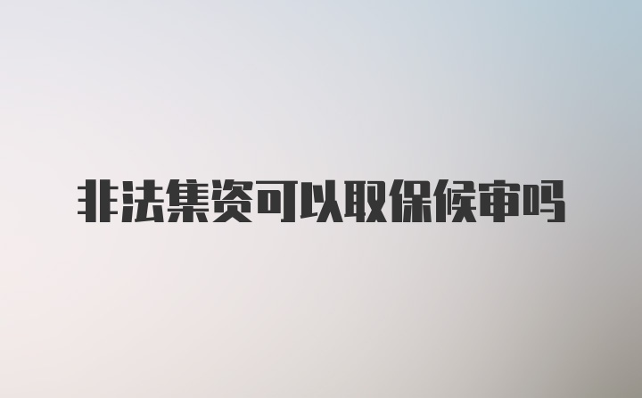 非法集资可以取保候审吗