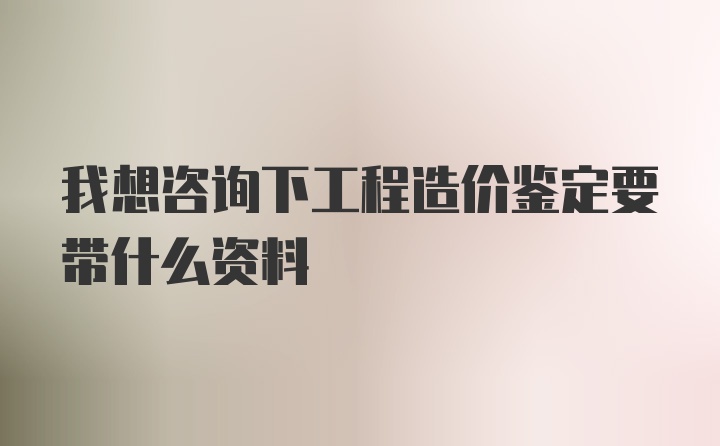 我想咨询下工程造价鉴定要带什么资料