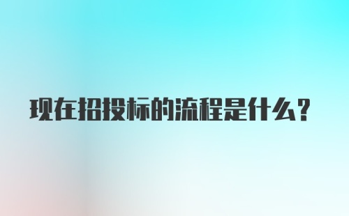 现在招投标的流程是什么？