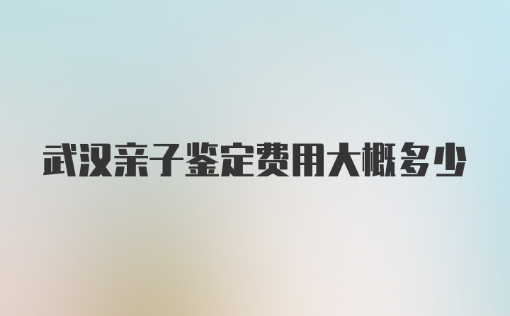 武汉亲子鉴定费用大概多少