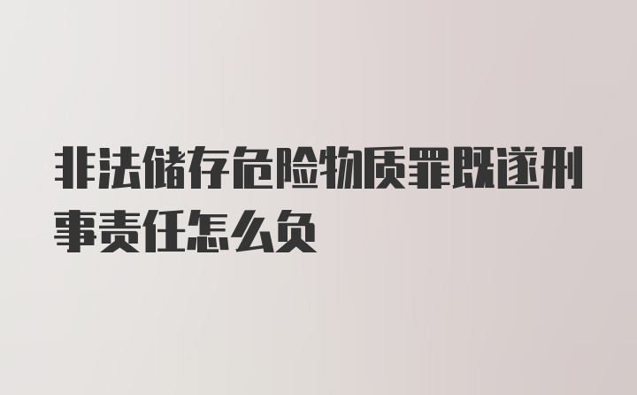 非法储存危险物质罪既遂刑事责任怎么负