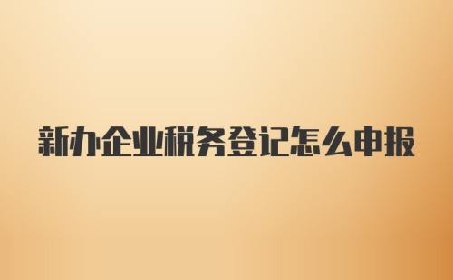 新办企业税务登记怎么申报