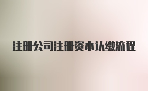 注册公司注册资本认缴流程