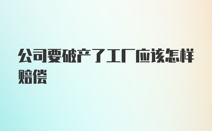 公司要破产了工厂应该怎样赔偿