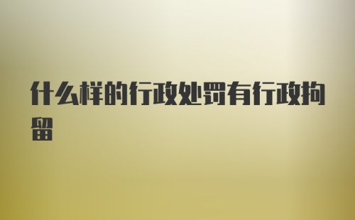 什么样的行政处罚有行政拘留