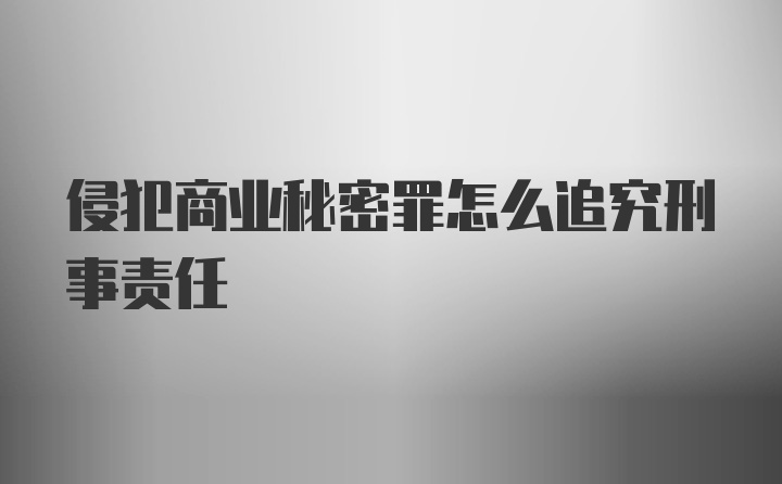 侵犯商业秘密罪怎么追究刑事责任