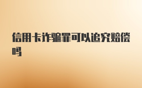 信用卡诈骗罪可以追究赔偿吗