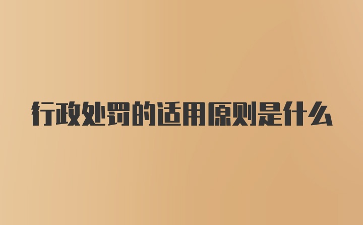 行政处罚的适用原则是什么