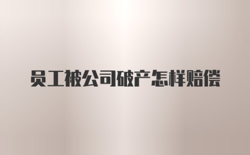 员工被公司破产怎样赔偿