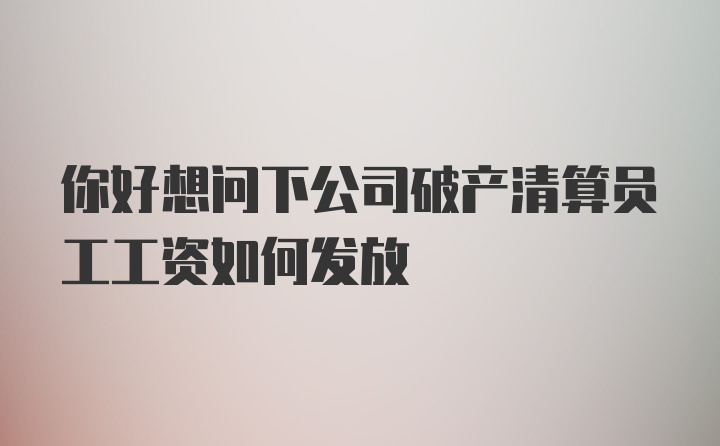 你好想问下公司破产清算员工工资如何发放