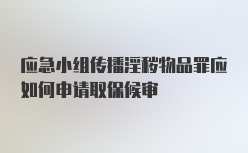 应急小组传播淫秽物品罪应如何申请取保候审