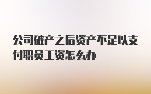 公司破产之后资产不足以支付职员工资怎么办