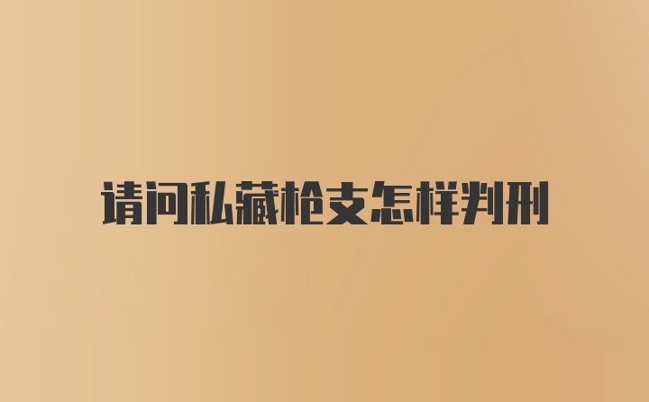 请问私藏枪支怎样判刑