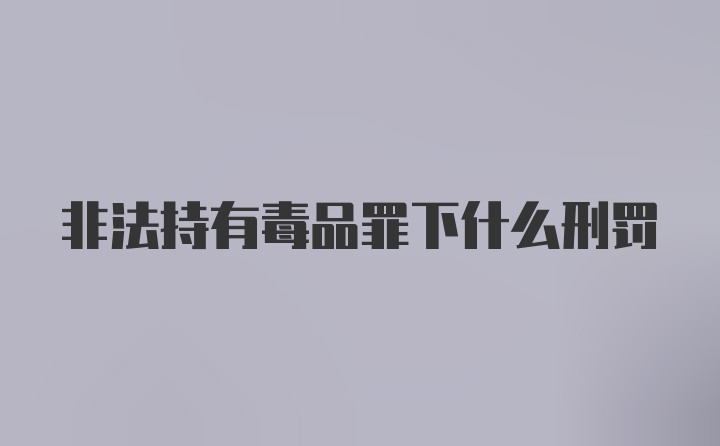 非法持有毒品罪下什么刑罚