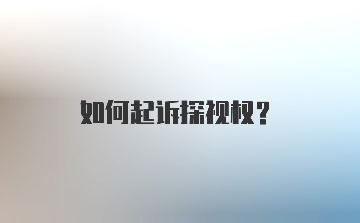 如何起诉探视权?