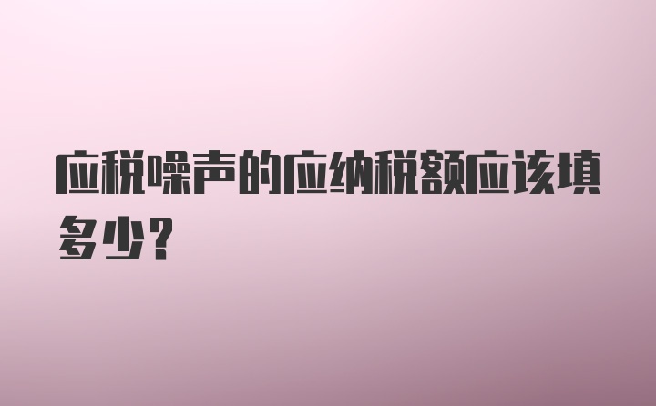 应税噪声的应纳税额应该填多少？