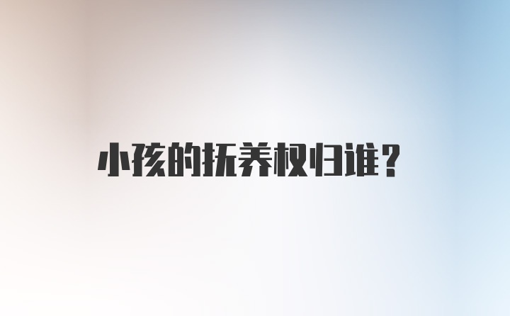 小孩的抚养权归谁？