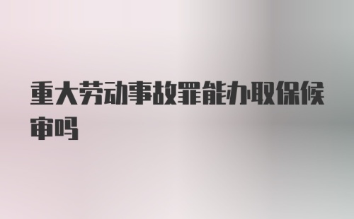 重大劳动事故罪能办取保候审吗