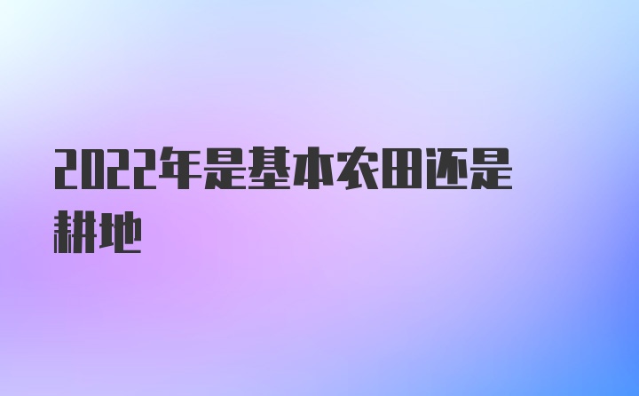 2022年是基本农田还是耕地