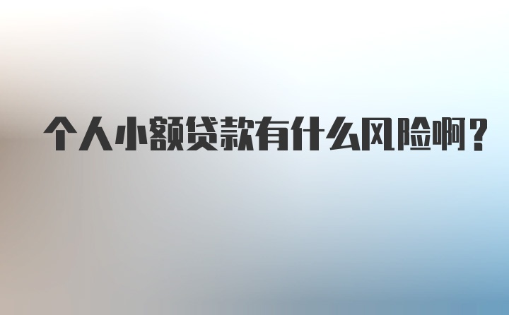 个人小额贷款有什么风险啊？