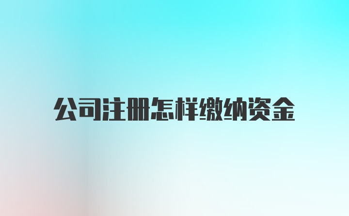 公司注册怎样缴纳资金