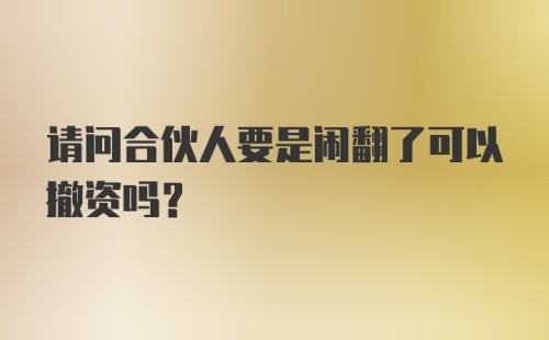 请问合伙人要是闹翻了可以撤资吗？