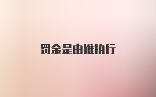 罚金是由谁执行