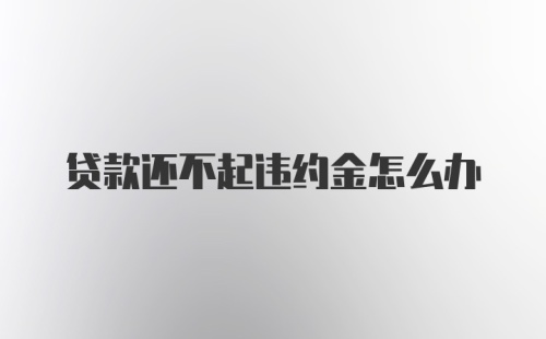 贷款还不起违约金怎么办