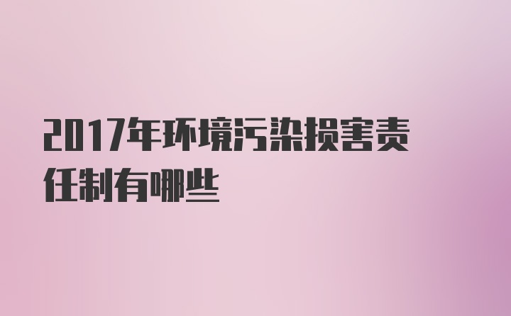 2017年环境污染损害责任制有哪些