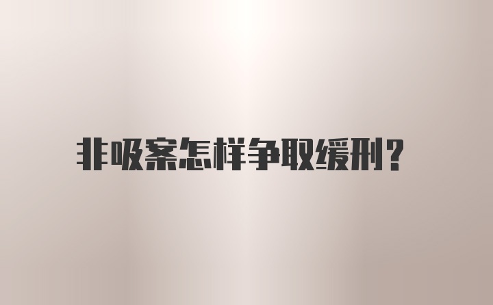 非吸案怎样争取缓刑？