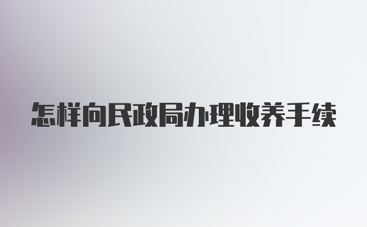 怎样向民政局办理收养手续