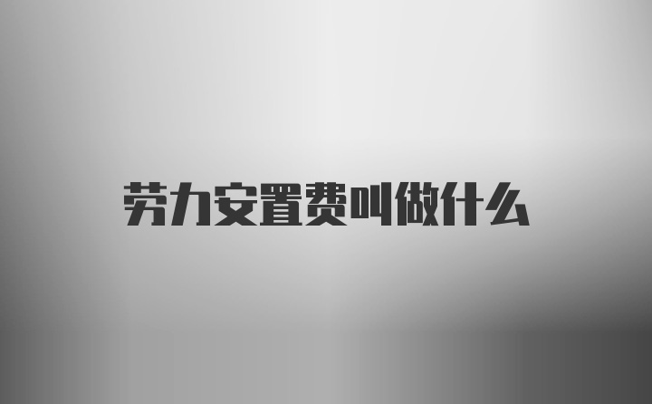 劳力安置费叫做什么