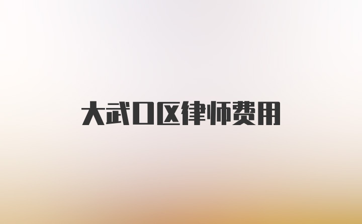 大武口区律师费用