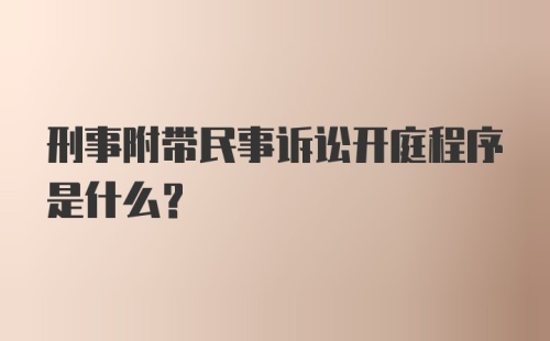 刑事附带民事诉讼开庭程序是什么？