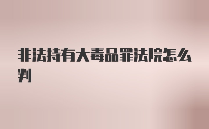 非法持有大毒品罪法院怎么判