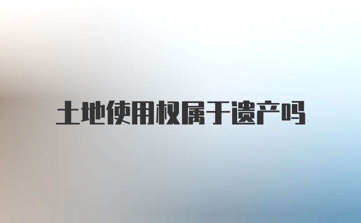 土地使用权属于遗产吗