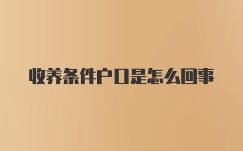 收养条件户口是怎么回事