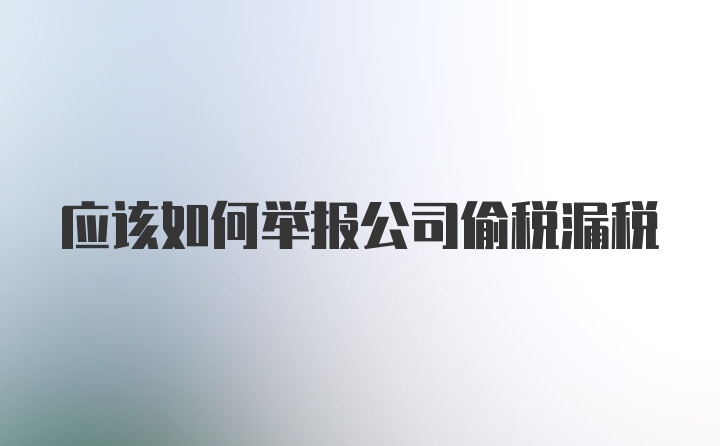 应该如何举报公司偷税漏税