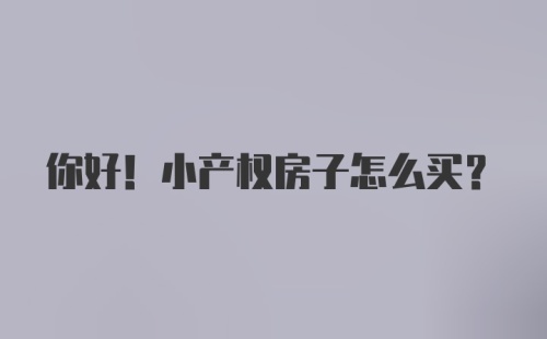 你好！小产权房子怎么买？