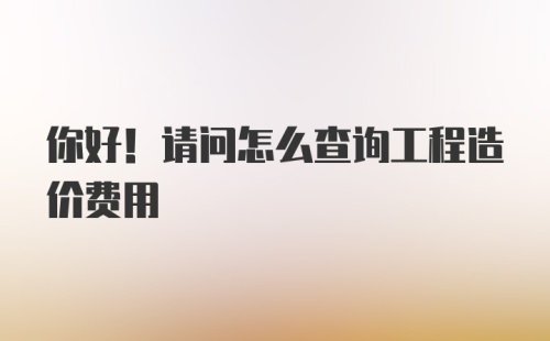 你好！请问怎么查询工程造价费用