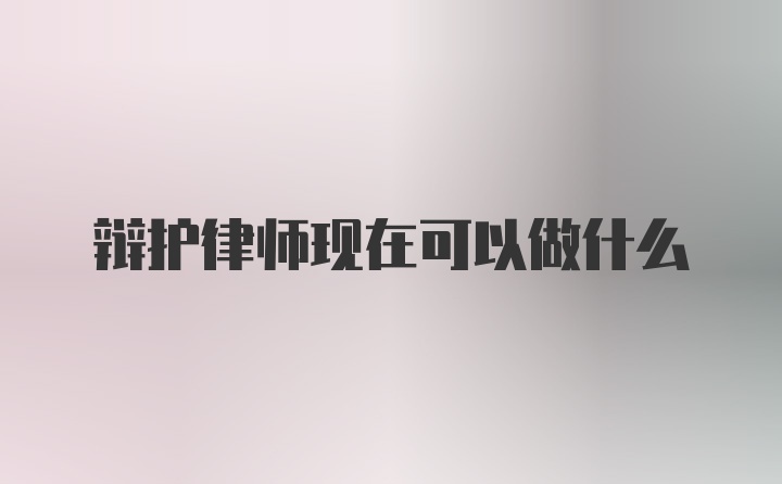 辩护律师现在可以做什么