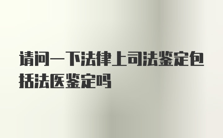 请问一下法律上司法鉴定包括法医鉴定吗