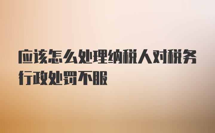 应该怎么处理纳税人对税务行政处罚不服