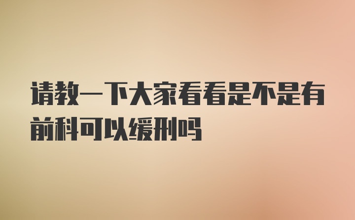 请教一下大家看看是不是有前科可以缓刑吗